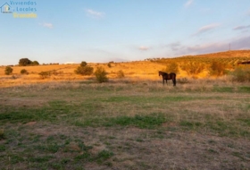 Gójar 15000&nbsp;m²