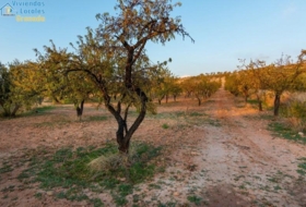 Gójar 15000&nbsp;m²