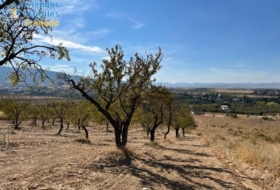 Gójar 15000&nbsp;m²