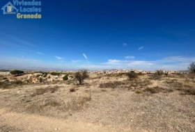 Gójar 15000&nbsp;m²