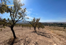 Gójar 15000&nbsp;m²