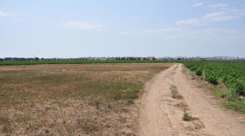 Murcia - Los Alcázares - 7193m2
