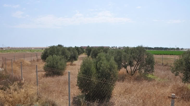 Murcia - Los Alcázares - 7193m2