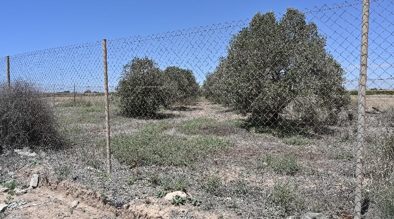 Murcia - Los Alcázares - 7193m2