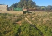 Terreny no urbanitzable en venda a la España, Elx, ref.: TR394338 foto