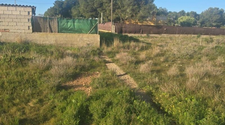 Alicante - Elche - 2020m2