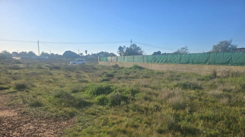 Alicante - Elche - 2020m2