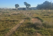 Terreny no urbanitzable en venda a la España, Elx, ref.: TR394338 foto
