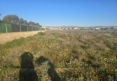 Terreny no urbanitzable en venda a la España, Elx, ref.: TR394338 foto