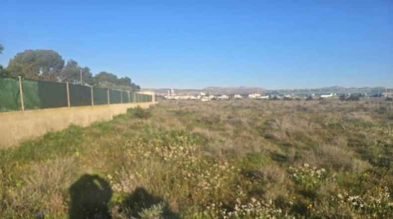 Alicante - Elche - 2020m2