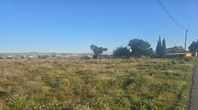 Alicante - Elche - 2020m2