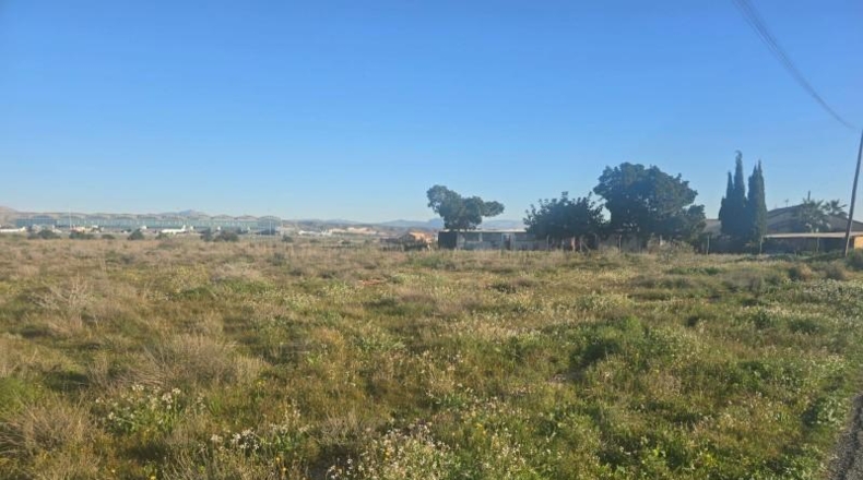 Alicante - Elche - 2020m2