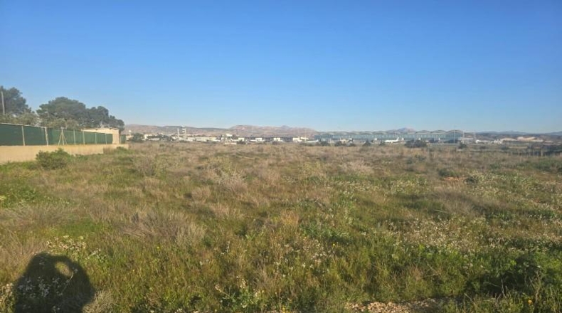 Alicante - Elche - 2020m2
