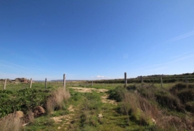Sádaba 78763&nbsp;m²