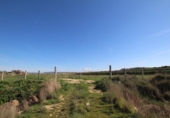 Terreno no urbanizable en venta en la España, Sádaba, ref: TR394332 foto
