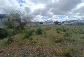 El Puerto de Santa María 4000&nbsp;m² 