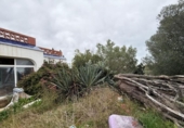 Casa de campo con terreno en venta en la España, Camarles, ref: TR395061 foto