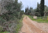 Casa de campo con terreno en venta en la España, Camarles, ref: TR395061 foto