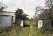Casa de campo con terreno en venta en la España, Camarles, ref: TR395061 foto