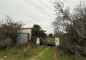 Casa de campo con terreno en venta en la España, Camarles, ref: TR395061 foto