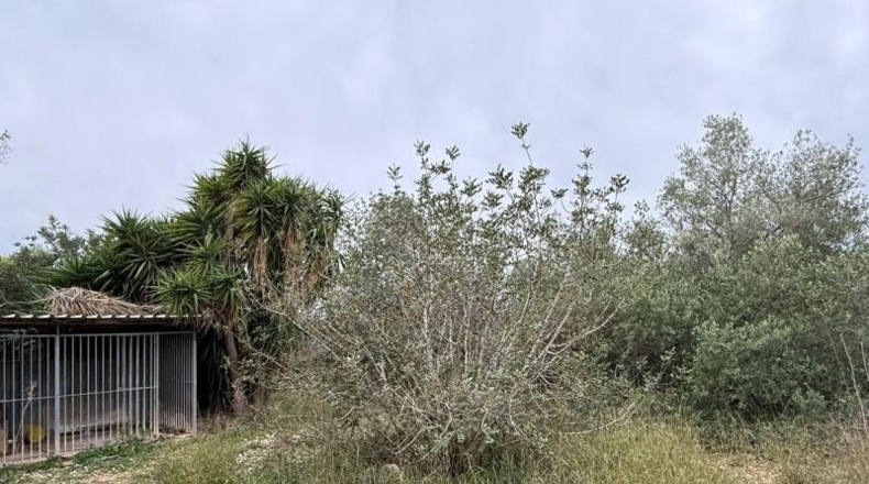 Tarragona - Камарлес - 160m2