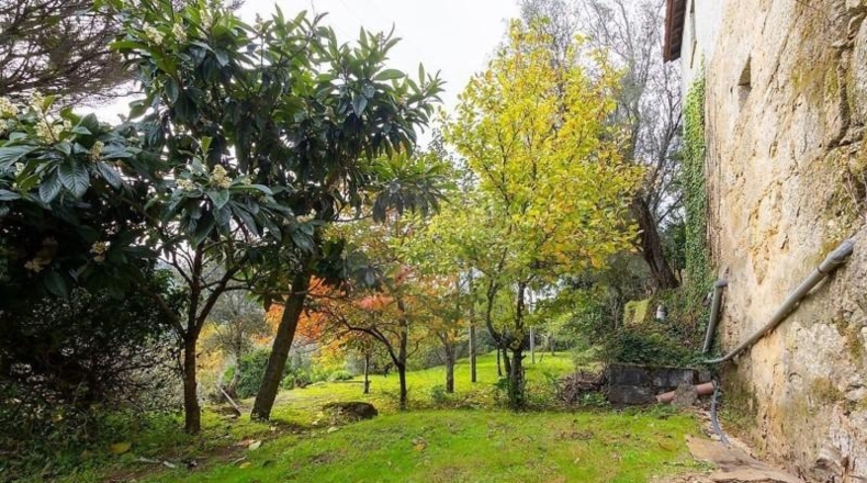 Almería - Roquetas de Mar - 12300m2