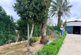 Carmona 2938&nbsp;m² 
