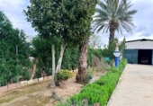 Finca rústica en venda a la España, Carmona, ref.: TR395031 foto