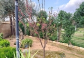 Finca rústica en venda a la España, Carmona, ref.: TR395031 foto