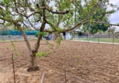 Finca rústica en venda a la España, Carmona, ref.: TR395031 foto