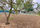Finca rústica en venda a la España, Carmona, ref.: TR395031 foto