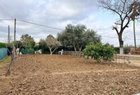 Carmona 2938&nbsp;m² 