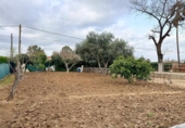 Finca rústica en venda a la España, Carmona, ref.: TR395031 foto