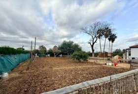 Carmona 2938&nbsp;m² 