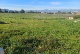 Алаурин-де-ла-Торре 380&nbsp;м²