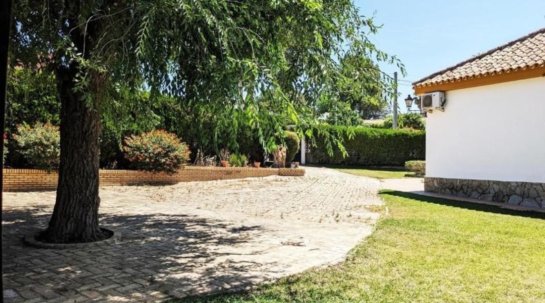Sevilla - Alcalá de Guadaíra - 361m2