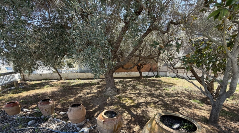 Tarragona - Alcanar - 585m2