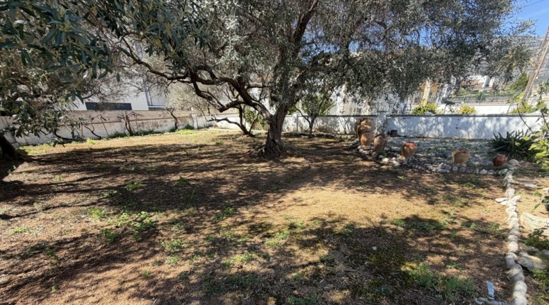 Tarragona - Alcanar - 585m2