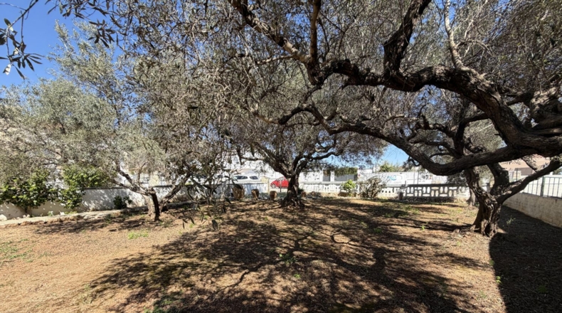 Tarragona - Alcanar - 585m2