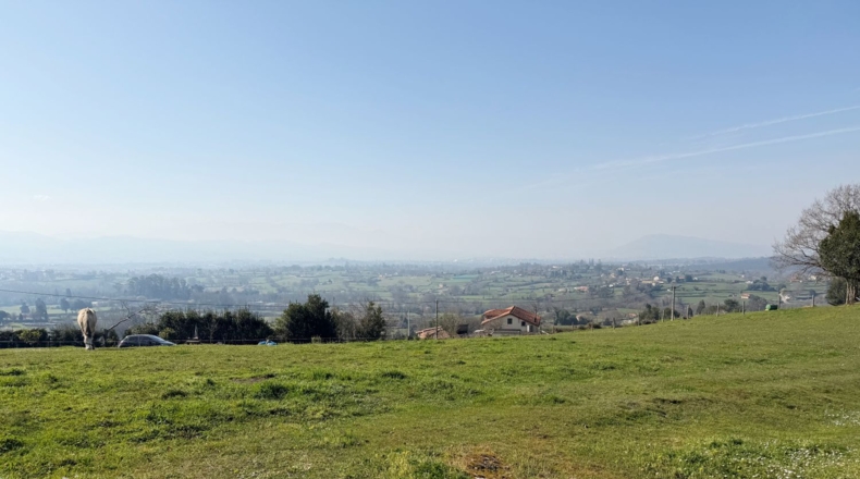Asturias - San Pedro La Figarona - 9608m2