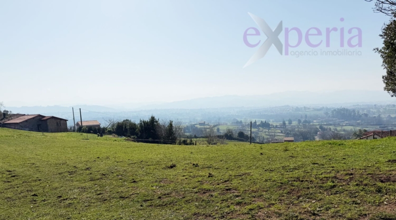 Asturias - San Pedro La Figarona - 9608m2