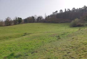 Grado 28732&nbsp;m² 