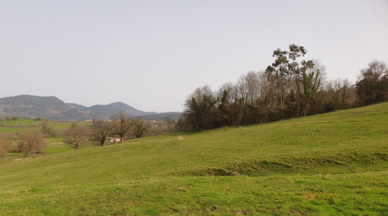 Astúries - Grado - 28732m2