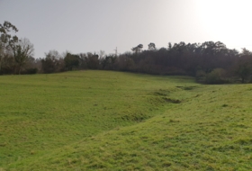 Grado 28732&nbsp;m² 