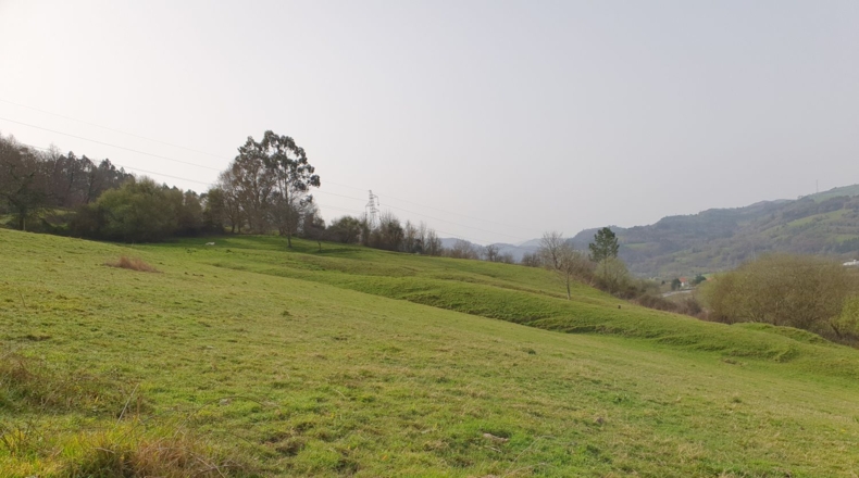 Astúries - Grado - 28732m2