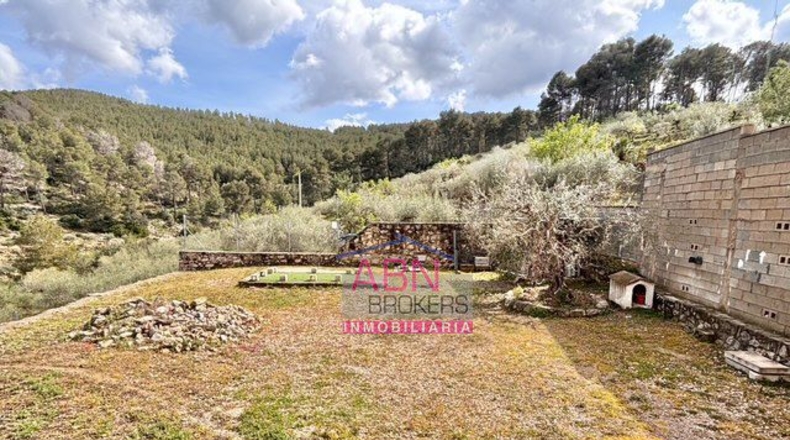 Valencia - Adzaneta de Albaida - 650m2
