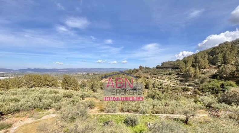 Valencia - Adzaneta de Albaida - 650m2