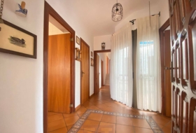 Pinares de Lepe 900&nbsp;m²