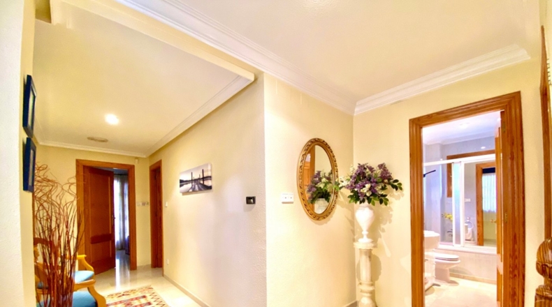 Alicante - Elda - 400m2