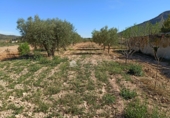 Finca rústica en venta en la España, Abanilla, ref: TR394423 foto